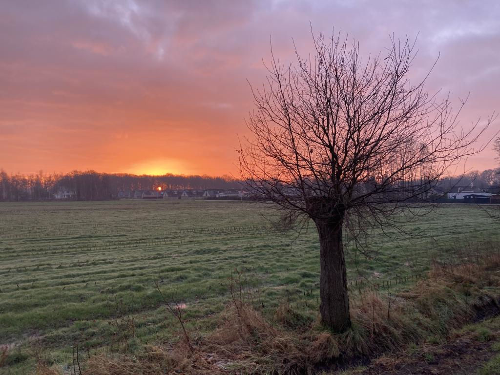 Park wernhoutsburg
